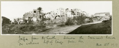 Jaffa from the South, Simon the Tanner